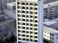 “最牛挖掘機”12層樓頂作業(yè) 一層層往下拆(圖)