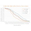 Ladder Falls Effect of Rest Break on Time to Injury 美國利寶互助保險(xiǎn)集團(tuán)(LIBERTY MUTUAL INSURANCE GROUP)2012 R