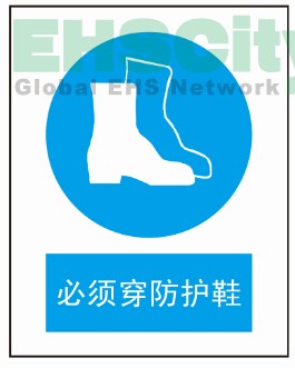 防護(hù)鞋