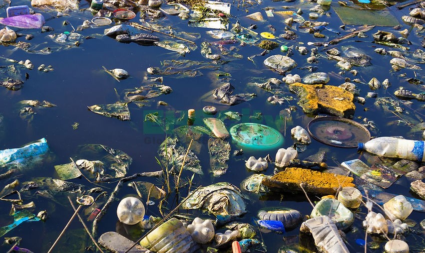 Enviro<i></i>nment Pollution